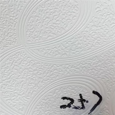Embossed PVC Film
